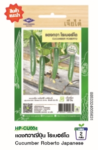 แตงกวาญี่ปุ่นโรเบอร์โตF1เจียไต๋*100